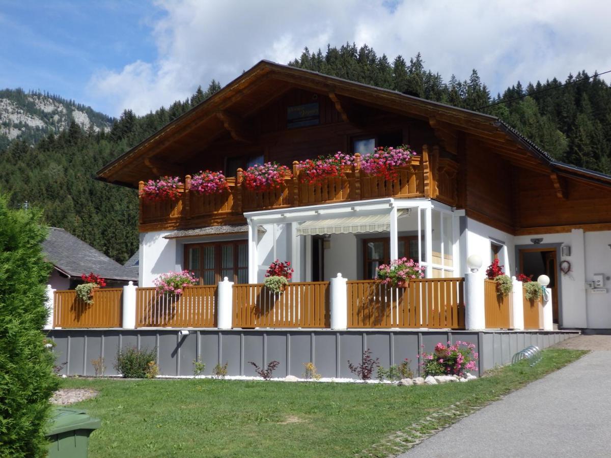 Dagmar Homestay